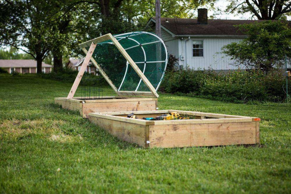 ilustrasi raised bed (unsplash.com/isaacmsmith)