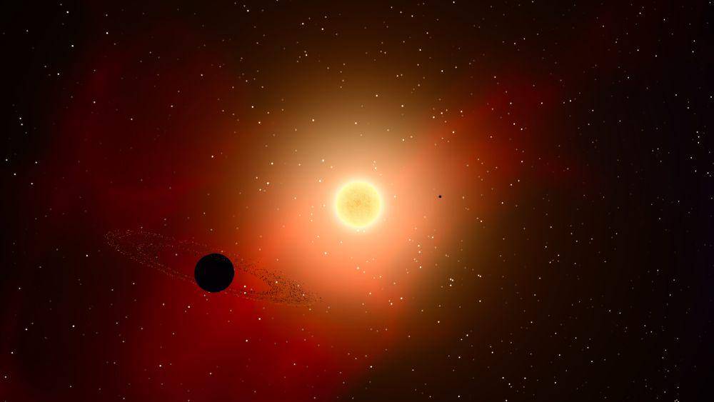 bintang katai merah proxima centauri (medium.com)
