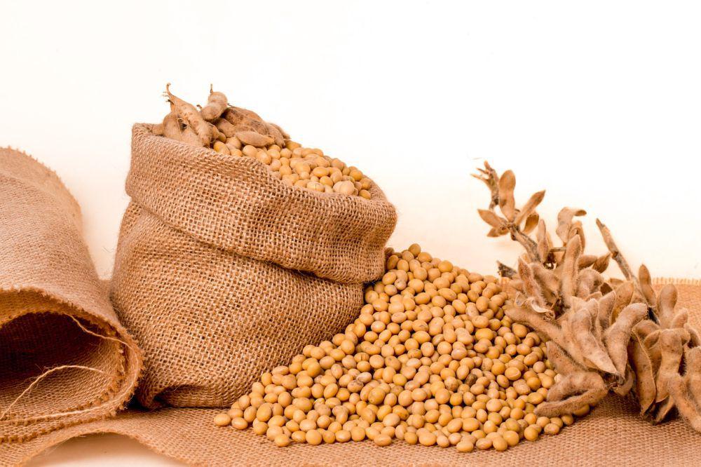 10 Tips Menyimpan Kacang Kedelai agar Tak Cepat Tengik dan Berjamur