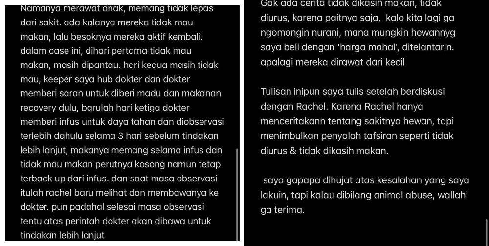 Nala kucing peliharaan Okin meninggal dunia (instagram.com/okintph)