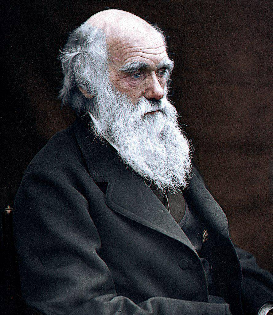 potret Charles Darwin (commons.wikimedia.org/Julius Jääskeläinen)