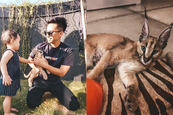 Nala Kucing Peliharaan Okin Mati, Ini Klarifikasinya dan Rachel Vennya