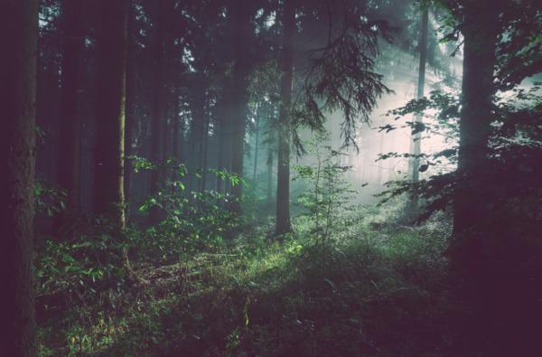 Endah n RhesaxNavicula Rilis Lagu Segara Gunung