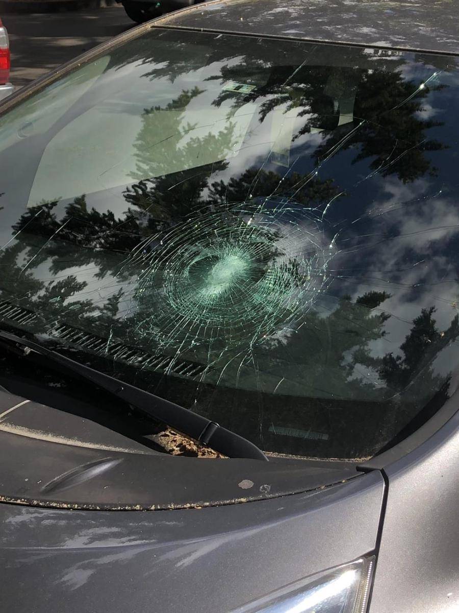 potret momen apes karena golf (reddit.com/user/AJNotMyRealName)
