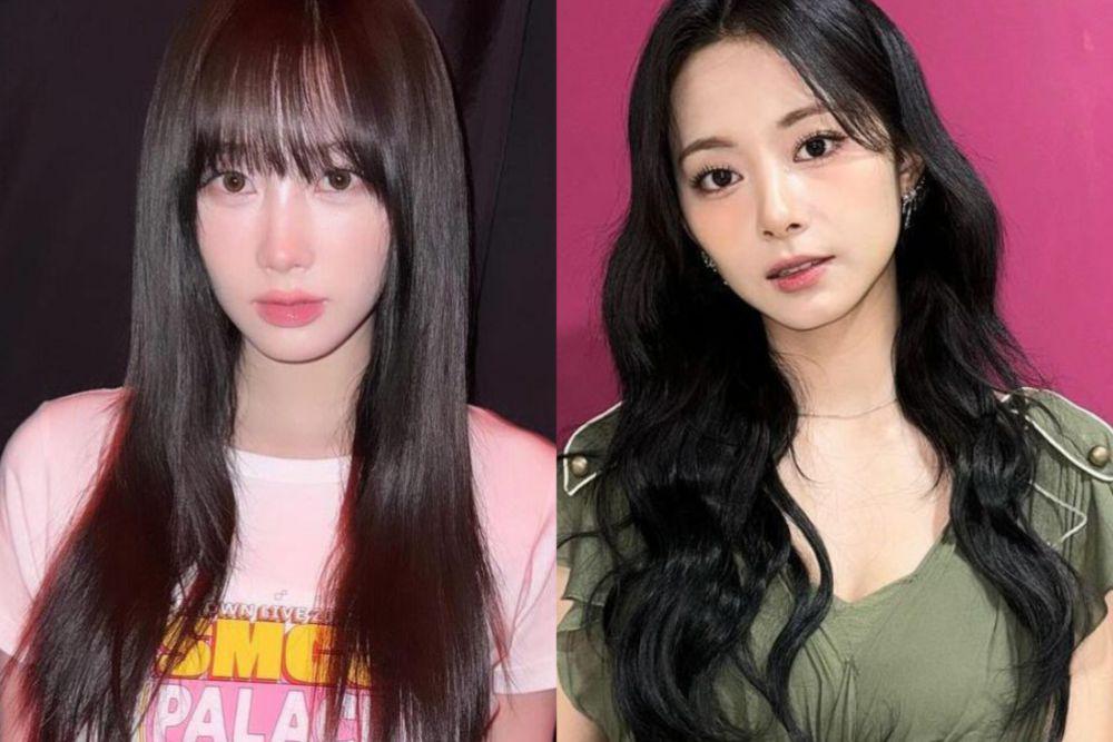 7 Idol KPop Ini Berikan Donasi untuk Hewan Telantar, Bikin Kagum!