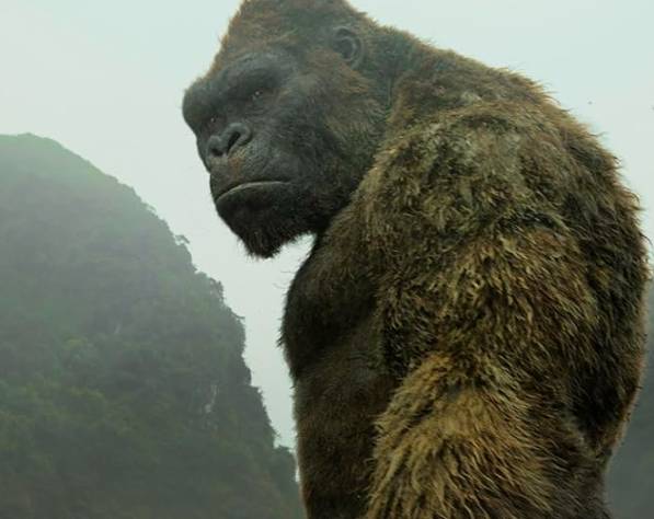 film Kong: Skull Island (imdb.com/Kong: Skull Island)
