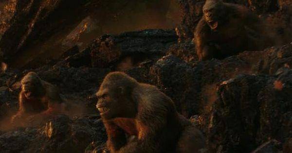 Para kera besar yang dipimpin Skar King ( Dok. Legendary Entertainment / Godzilla x Kong: The New Empire )
