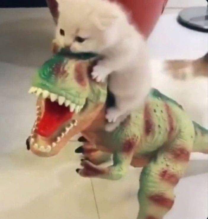 potret lucu kucing dengan mainan dinosaurus (reddit.com/user/passionlil-a)