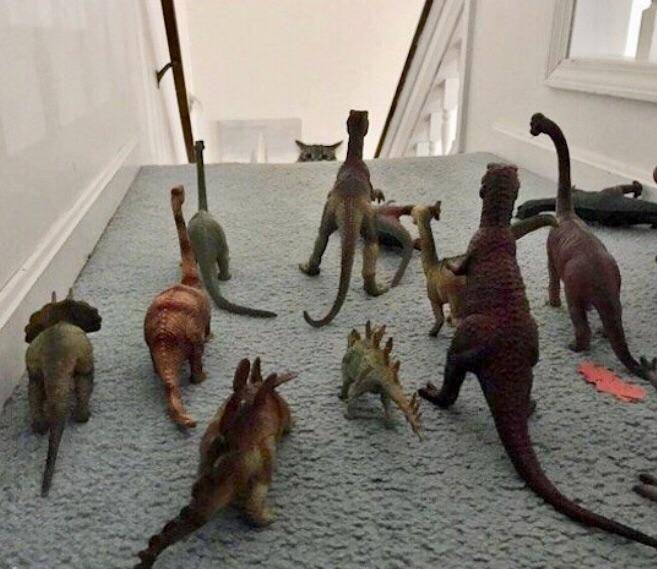 potret lucu kucing dengan mainan dinosaurus (reddit.com/user/joshg_yz250)