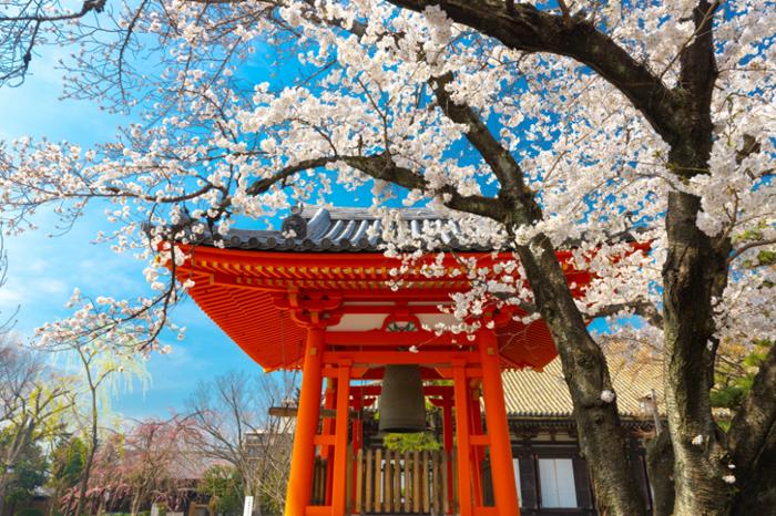 [QUIZ] Liburan Musim Semi di Jepang yang Cocok untuk Zodiakmu
