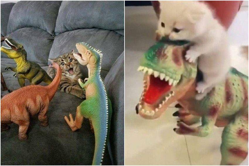 kolase potret lucu kucing dengan mainan dinosaurus (reddit.com/user/StcStasi | reddit.com/user/passionlil-a)