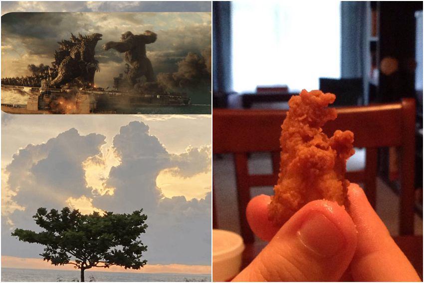 10 Potret Sesuatu Menyerupai Godzilla, kok Mirip?
