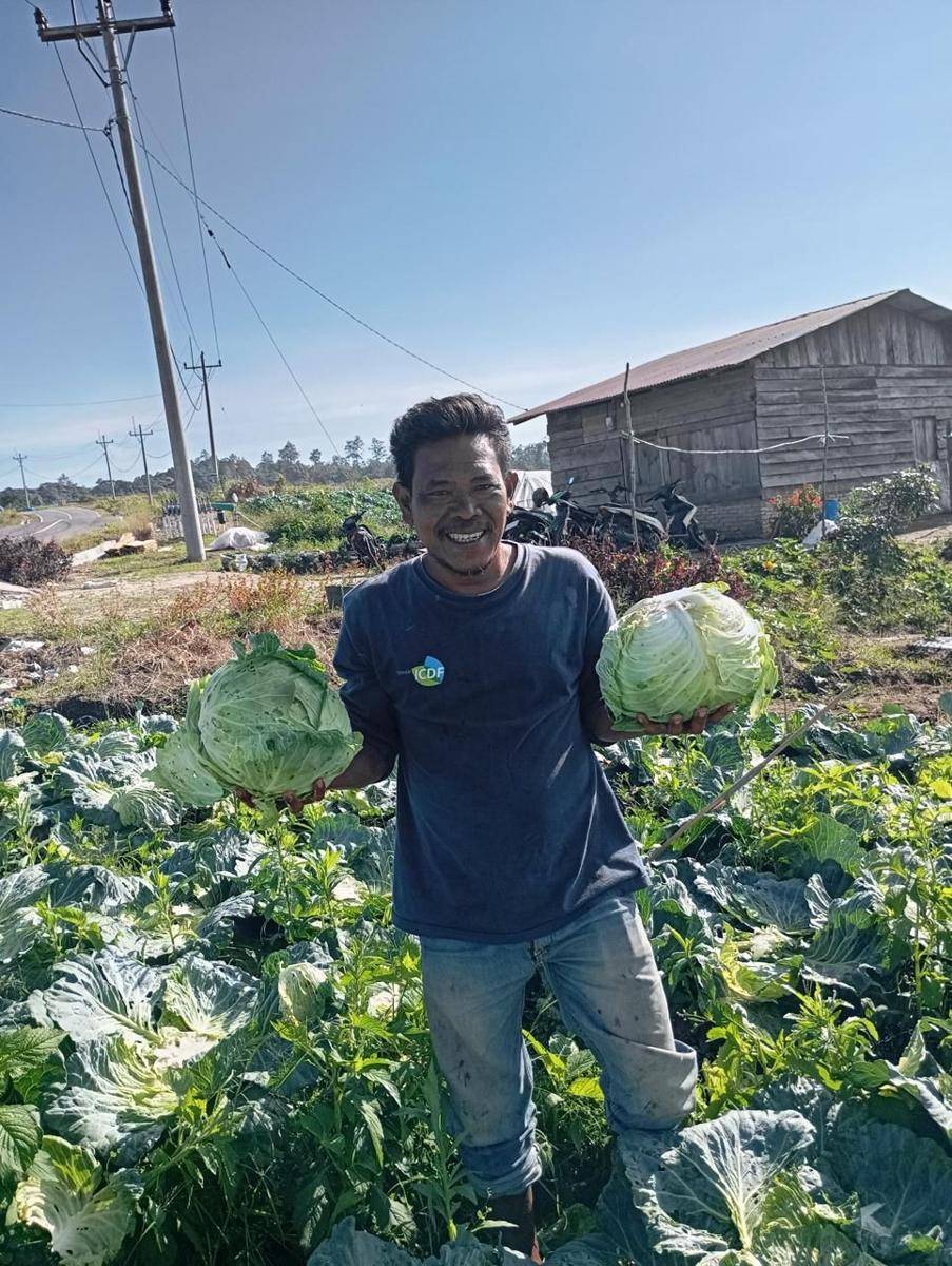 Jonparno adalah petani mitra dari Proyek Kerja Sama Taiwan Technical Mission (TTM) di Sumatera Utara yang mulai menerima bimbingan TTM sejak akhir 2023 untuk bercocok tanam varietas kubis dari Taiwan