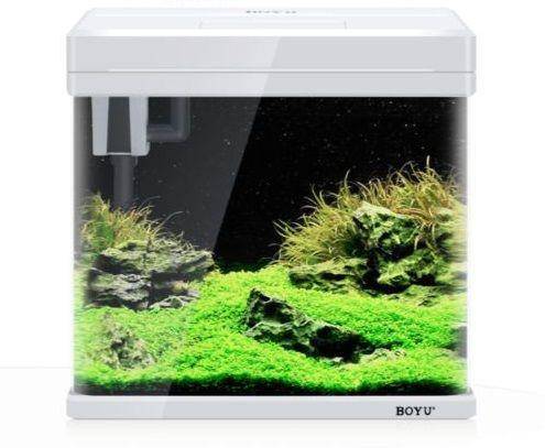Ilustrasi aquarium (Shopee/ACE Indonesia Official Shop)