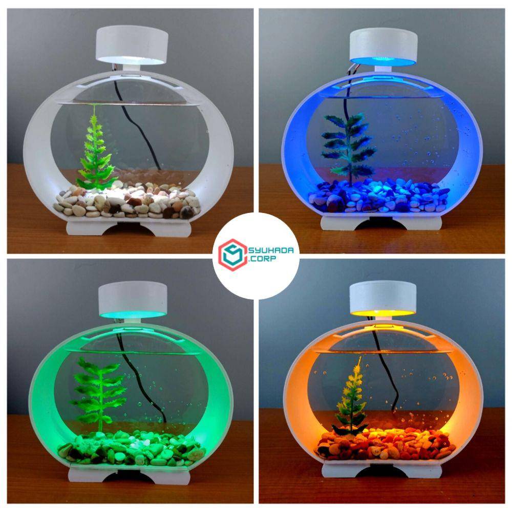 Ilustrasi aquarium (Shopee/Creative Aquarium Official)