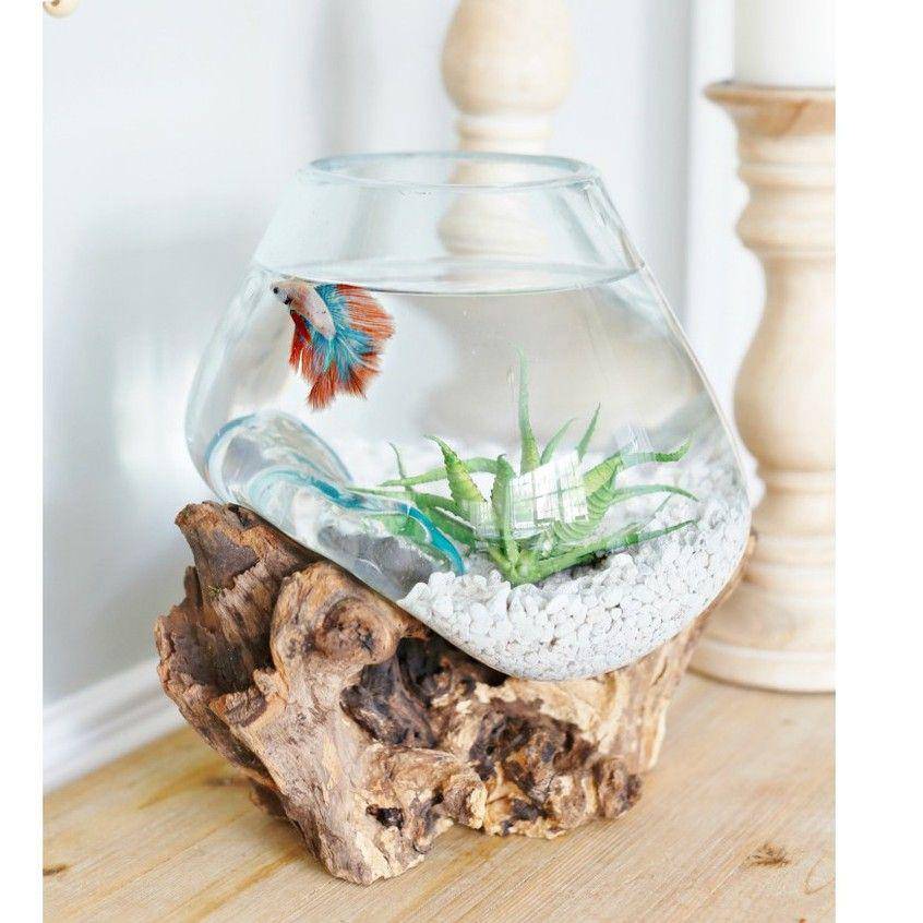 Ilustrasi aquarium (Shopee/potkacatiup)