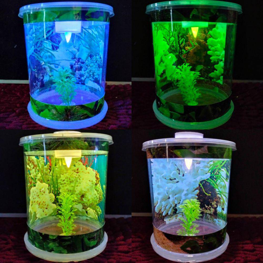 Ilustrasi aquarium (Shopee/KORI Handicrafts)