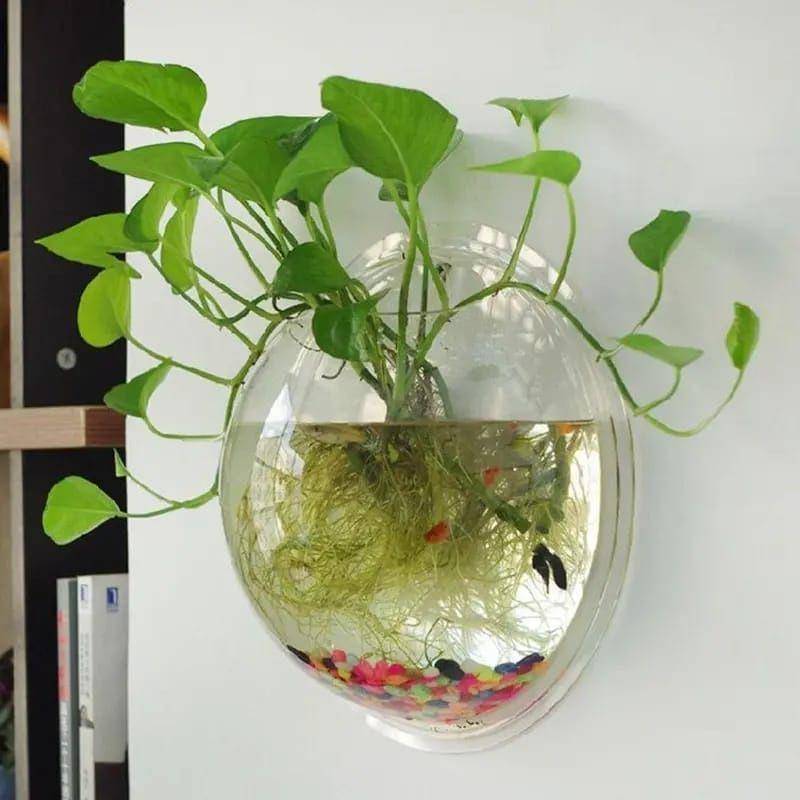 Ilustrasi aquarium (Shopee/mubarokkidstore)