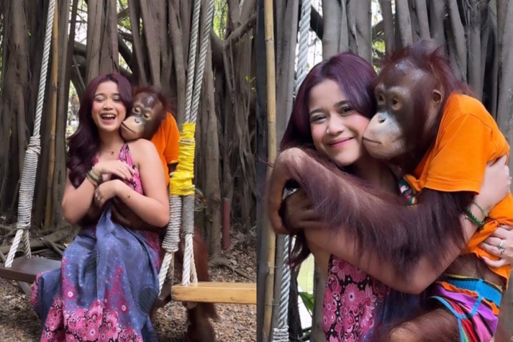 7 Potret Brisia Jodie Bareng Orang Utan, Dicium dan Disayang