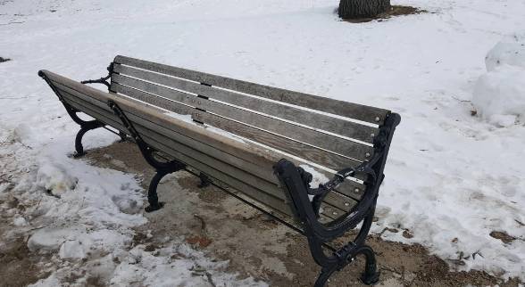 potret kursi aneh susah didudukin (reddit.com/fancyplants2)