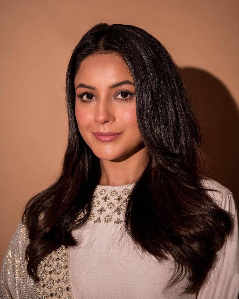 Shehnaaz Gill (instagram.com/shehnaazgill)