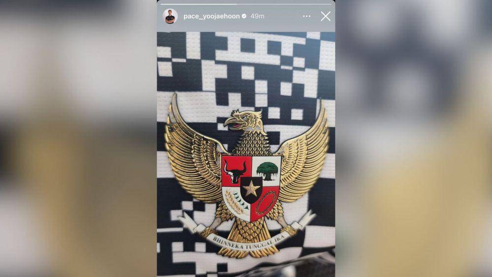 Logo garuda di jersey baru timnas Indonesia (dok.istimewa)