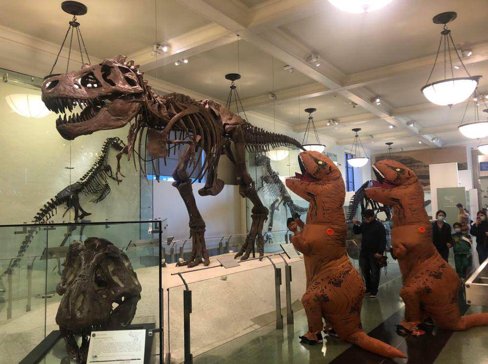 foto kocak berhubungan dengan dinosaurus (reddit.com/user/mport76)