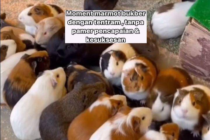 meme bukber beda konsep (instagram.com/sisujeng_)