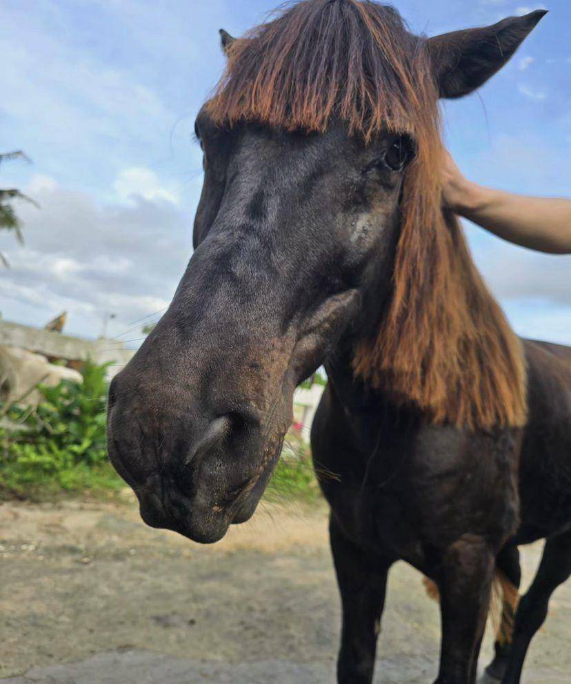 potret Bright Vachirawit liburan di Pulau Sumba (instagram.com/bbrightvc)