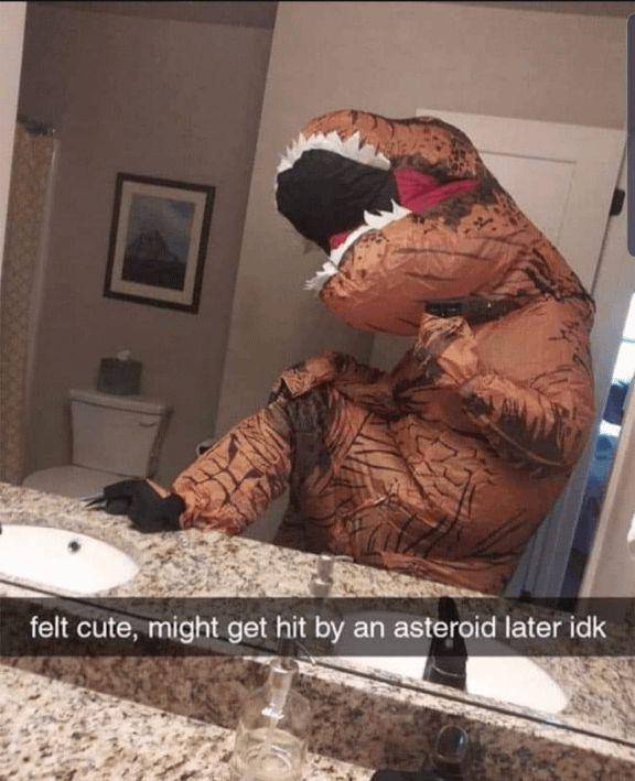foto kocak berhubungan dengan dinosaurus (reddit.com/user/ImUrFatMom)