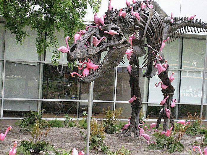foto kocak berhubungan dengan dinosaurus (reddit.com/user/EndersGame_Reviewer)