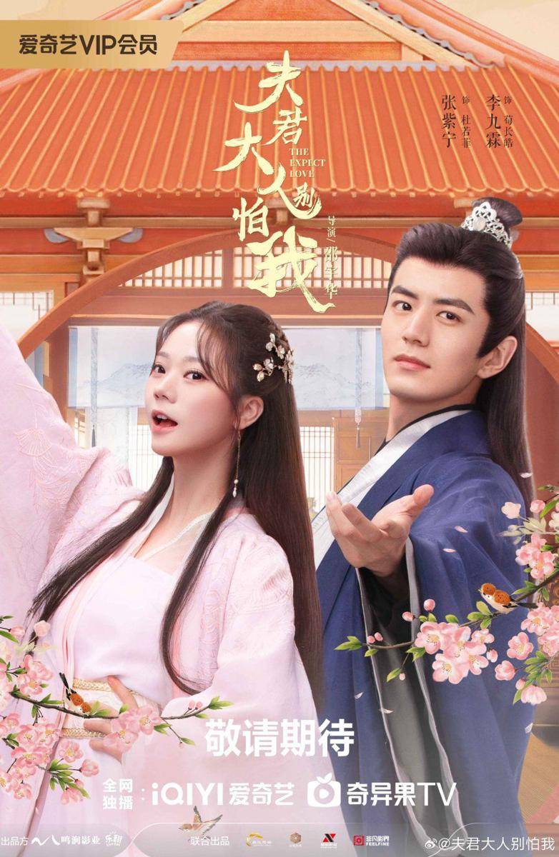 poster drama The Expect Love (dok.iQIYI/The Expect Love)