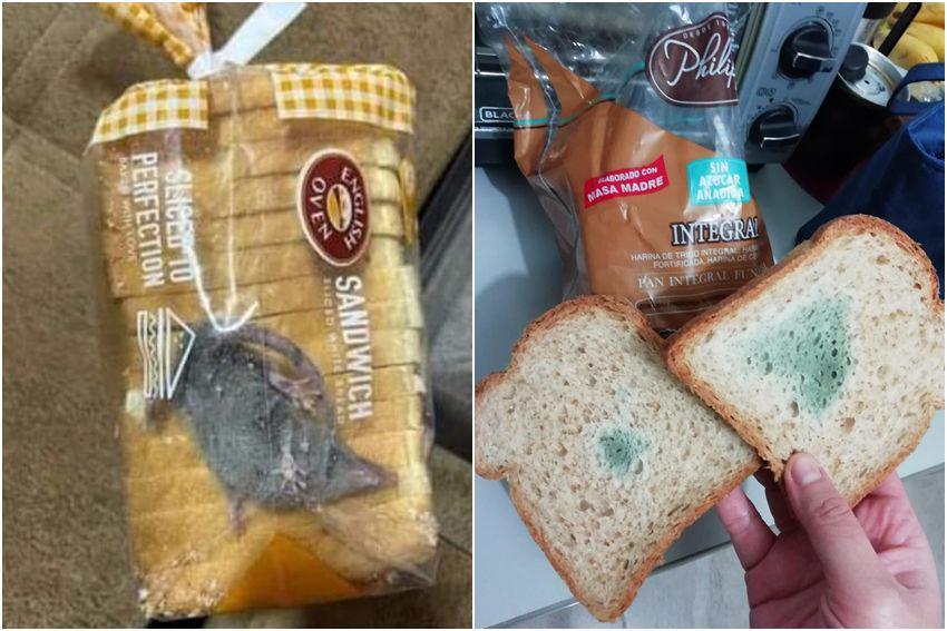 8 Momen Ngeselin saat Membeli Roti, Ada Bangkai Tikus?