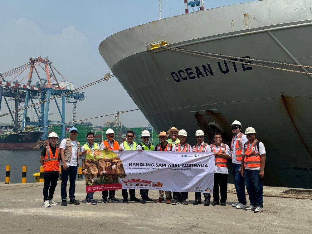 PT Berdikari datangkan impor sapi bakalan dan sapi siap potong sebanyak 2.583 ekor. (Dok/Humas PT Berdikari).