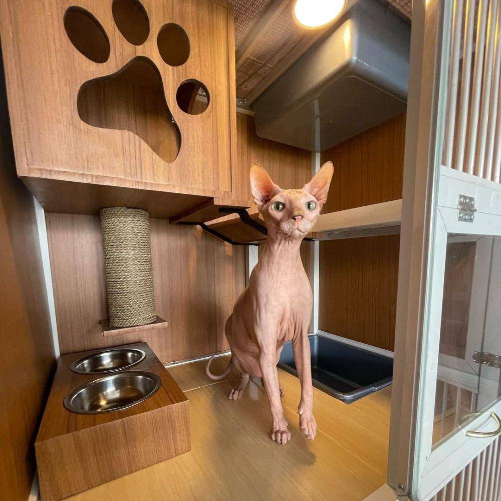 Pet Hotel Jakarta (instagram.com/kobowhoteljkt)