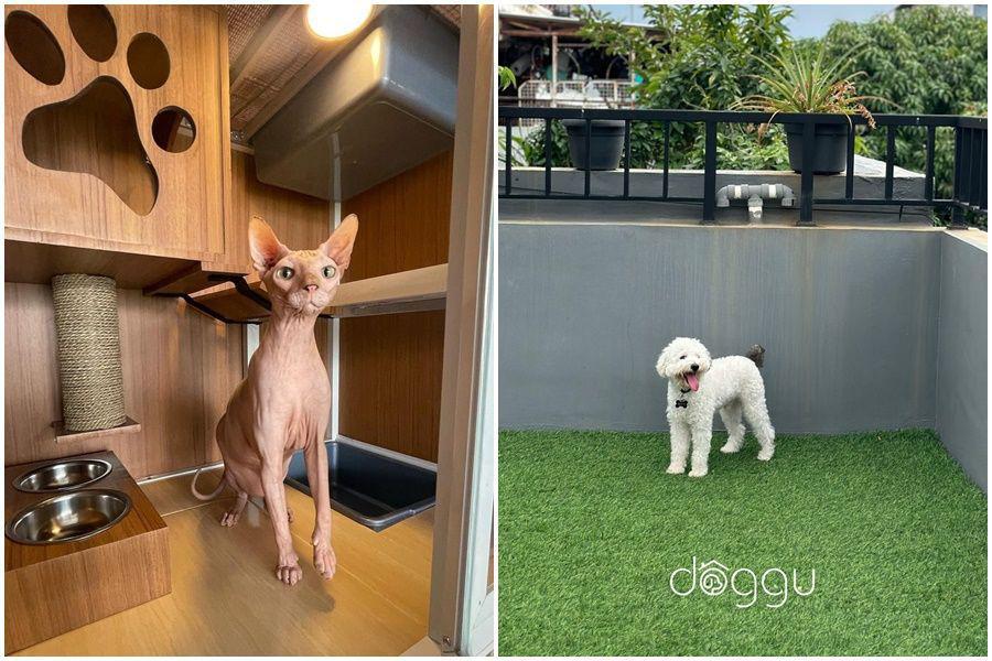 10 Rekomendasi Pet Hotel di Jakarta, Nyaman untuk Anabul Tersayang!