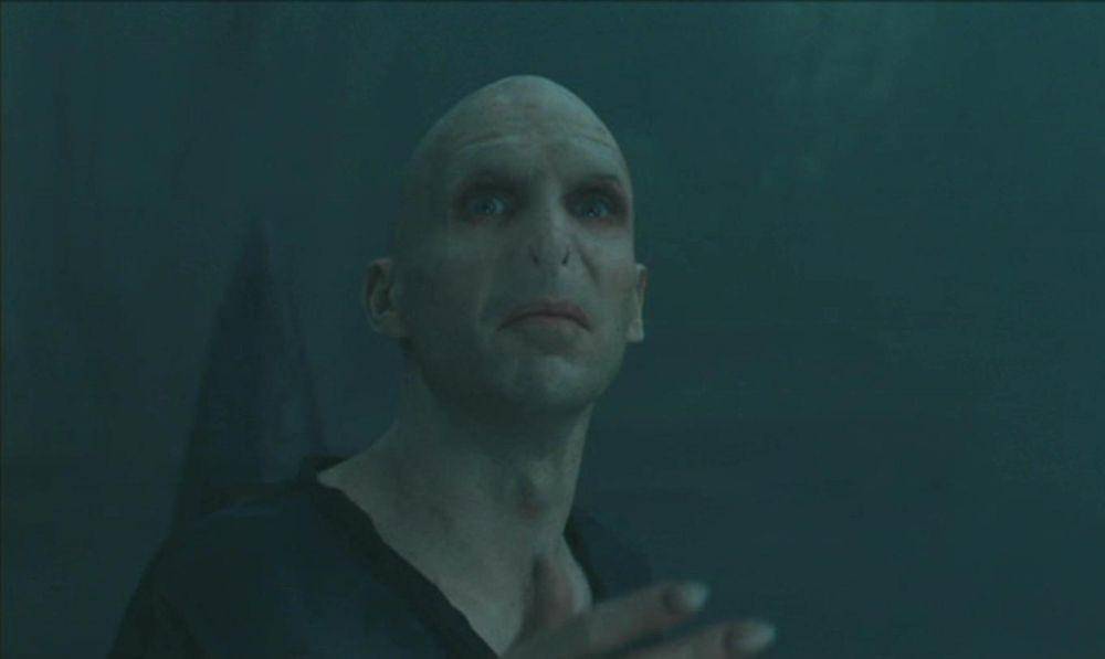 Voldemort, Penyihir dalam Harry Potter