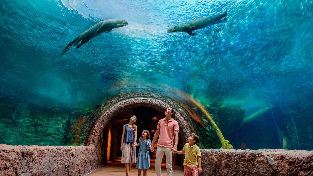 Mau Liburan ke River Wonder Singapore? Pesan Tiketnya di Traveloka!