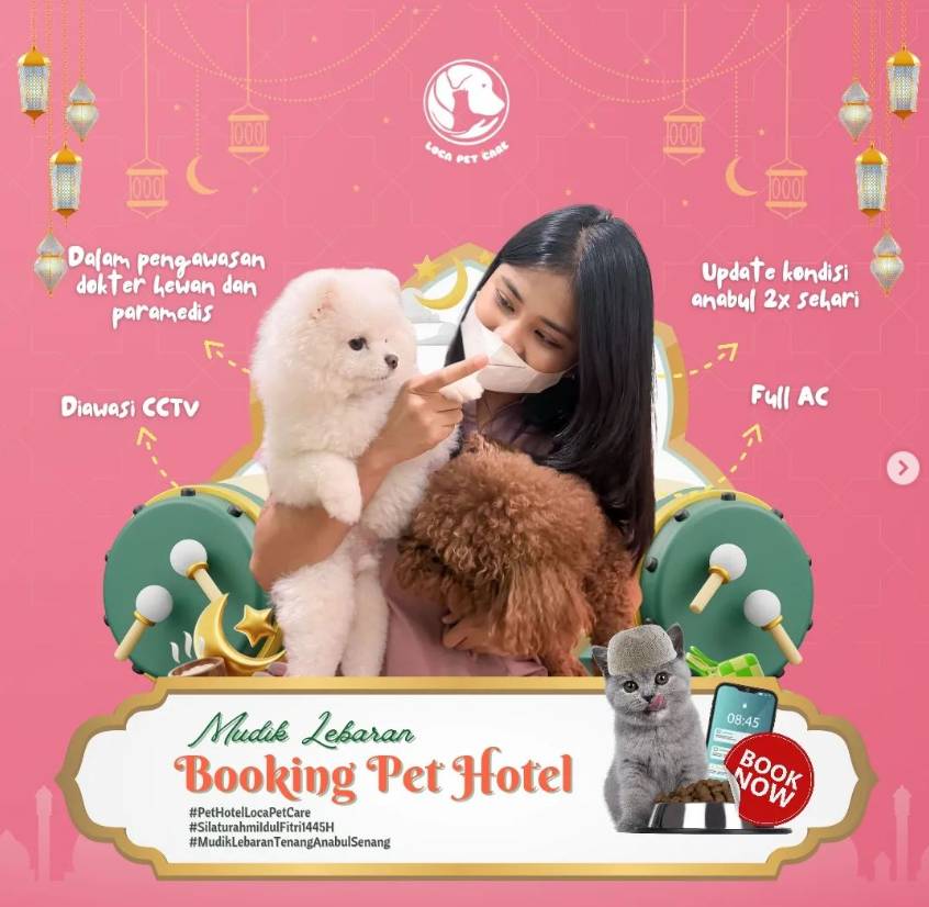 Pet Hotel (Instagram.com/locapetcare)