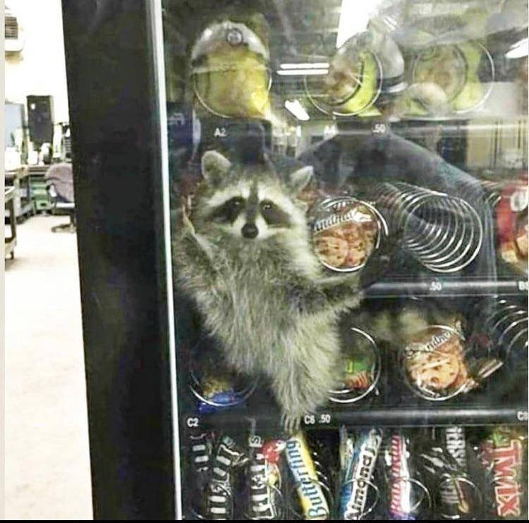 potret hal kocak terjadi di sekitar vending machine (reddit.com/user/n0t4s1mp)