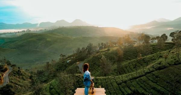 Ilustrasi wisata di Pangalengan, Bandung (instagram/sunrisepointcukul)