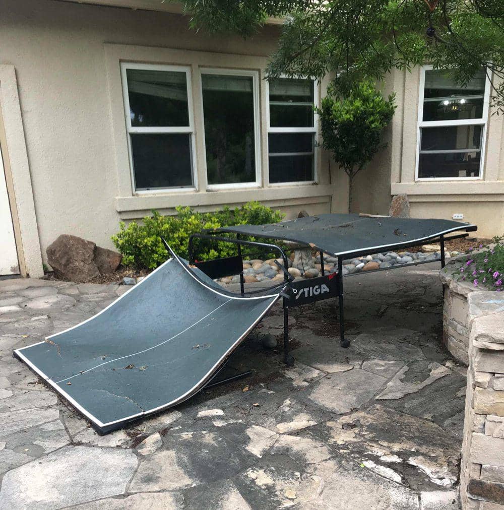 potret momen apes soal tenis meja (reddit.com/user/PeakDill)