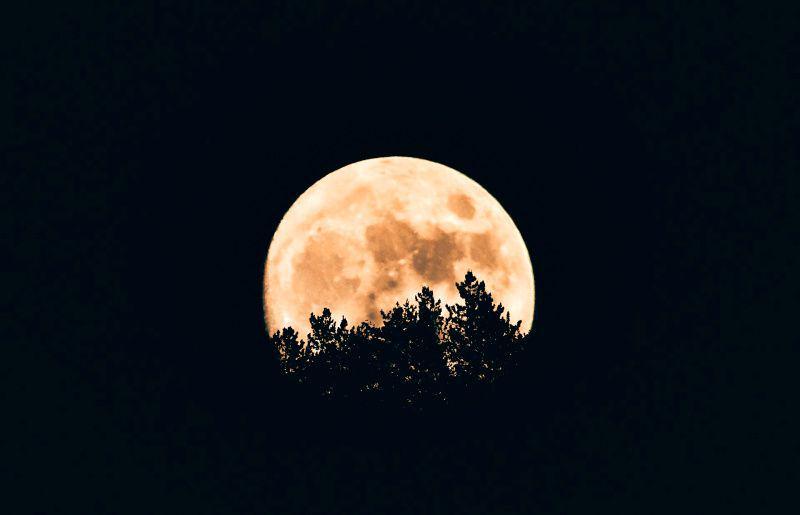 Fenomena Supermoon, Warga Pesisir Semarang Harap Waspada
