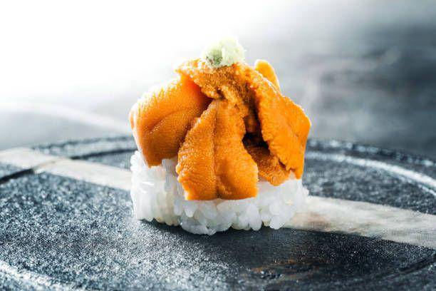 ilustrasi sushi bulu babi jepang (pixabay.com/CHUNYIP WONG)