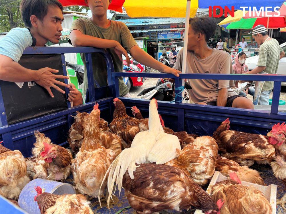 Penjual ayam di Pasar BK Simongan Semarang saat jelang Lebaran, Senin (8/4/2024). (IDN Times/Anggun Puspitoningrum)