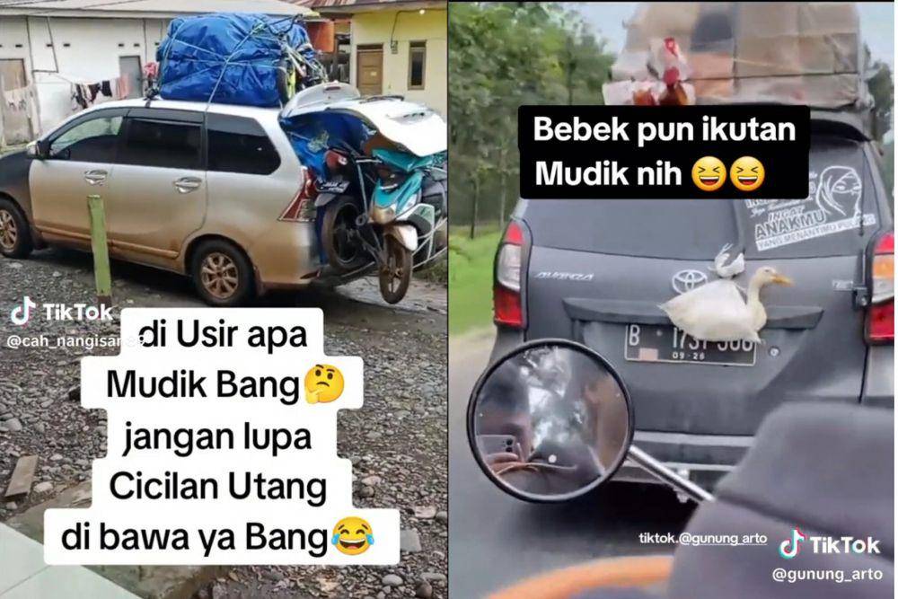 tiktok.com/cah_nangisan89 | tiktok.com/gunung_arto