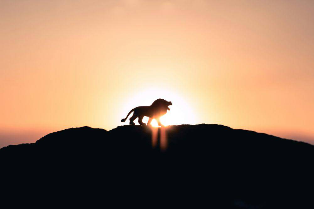 singa yang berada di atas bukit (unsplash.com/Iván Díaz)