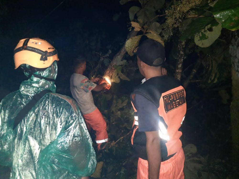 Pohon tumbang di desa Bayem Taman Kecamatan Kartoharjo timpa kabel listrik. IDN Times/ Istimewa