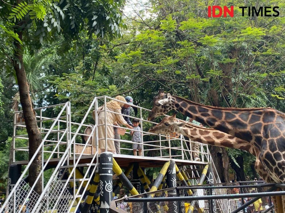 KBS Targetkan 43 Ribu Pengunjung di Momen Libur Nataru