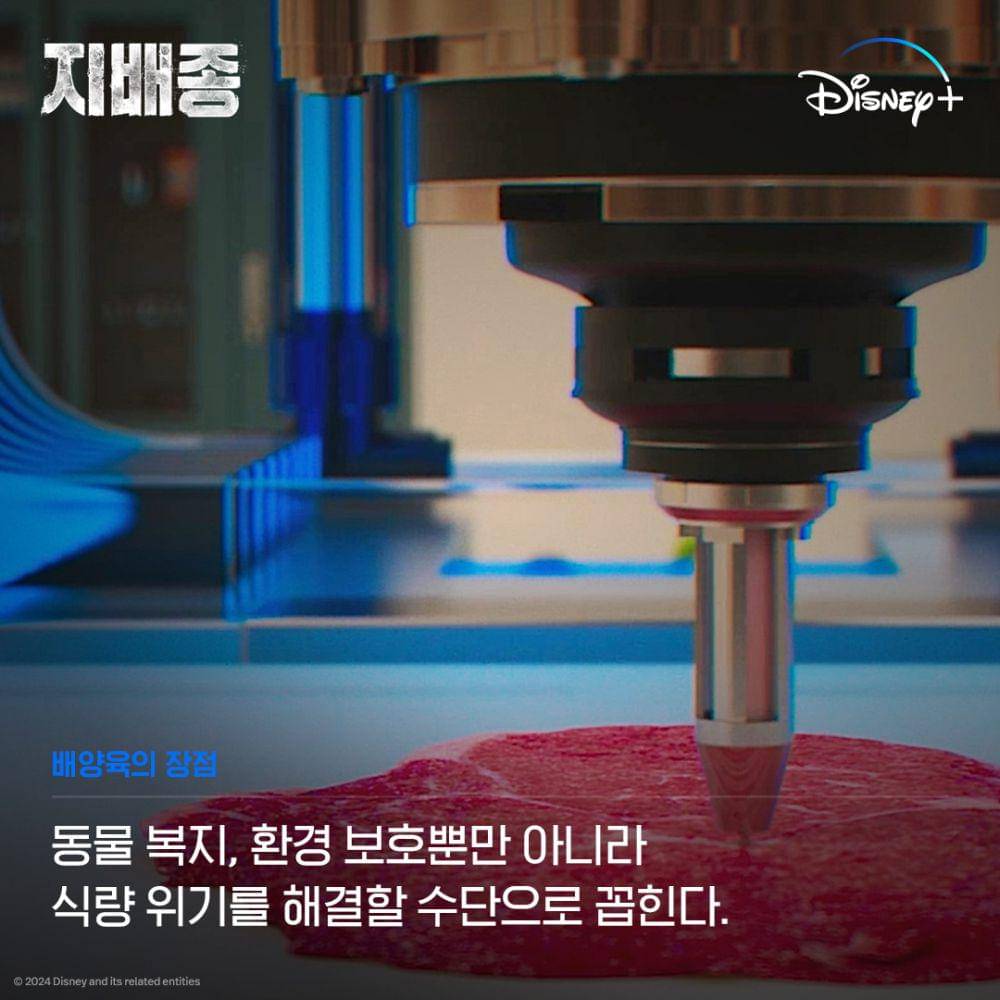 still cuts drakor Blood Free (instagram.com/disneypluskr)